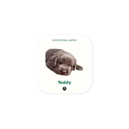 Example sticker personalized with a sleeping puppy and the sample name Teddy